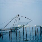 Kerala Scenic view of a Chinese fishing net over calm waters in Fort Kochi, Kerala, India.