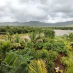 Mhakoshi Resort whatsapp image 2026 07 10 at 11.10.24 am